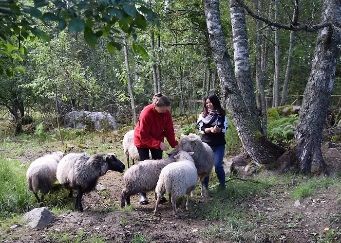 Gasthof Nukula Guestrooms Oravasaari
